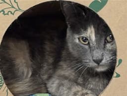 Mama image 1