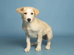 Winnie image 1