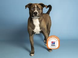 Buster image 1