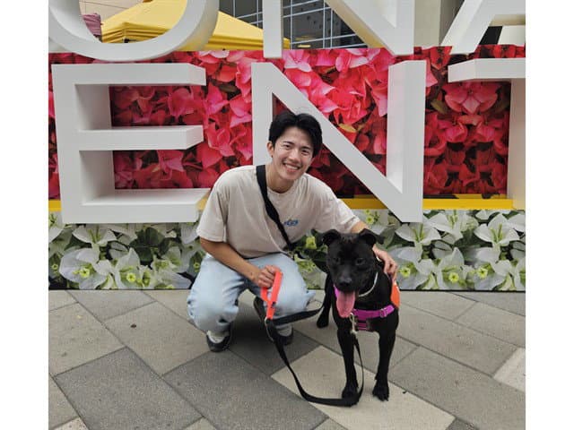Sasha - American Pit Bull Terrier