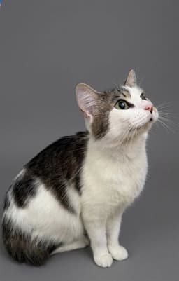 Daisy Mae image 1