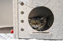 Gabby image 1