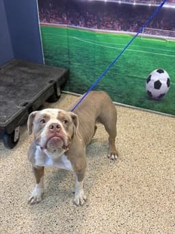 Wall-E image 1