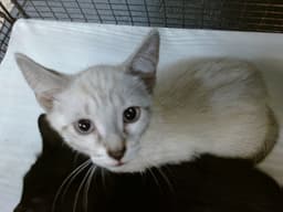 Ethel image 1
