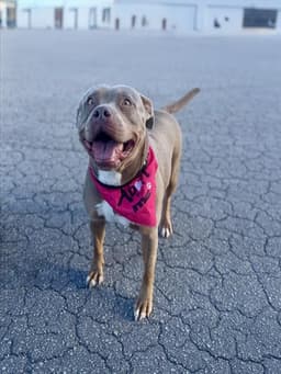 Mable image 1