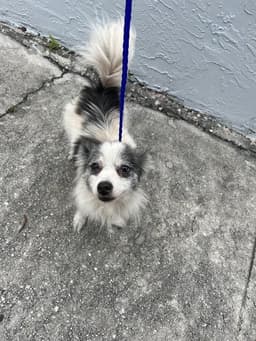 Tina image 1