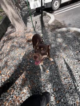 Sally image 1