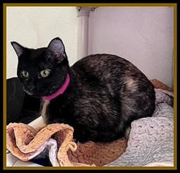 Skeeter image 1