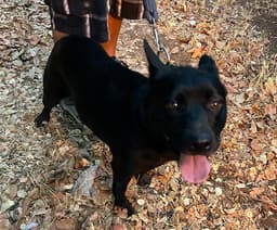 Betty image 1