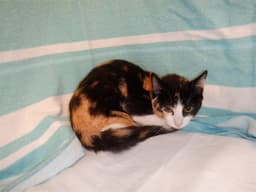 Natalie image 1