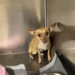 Unknown image 1