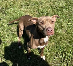 Nelly image 1