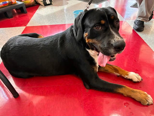 Max
