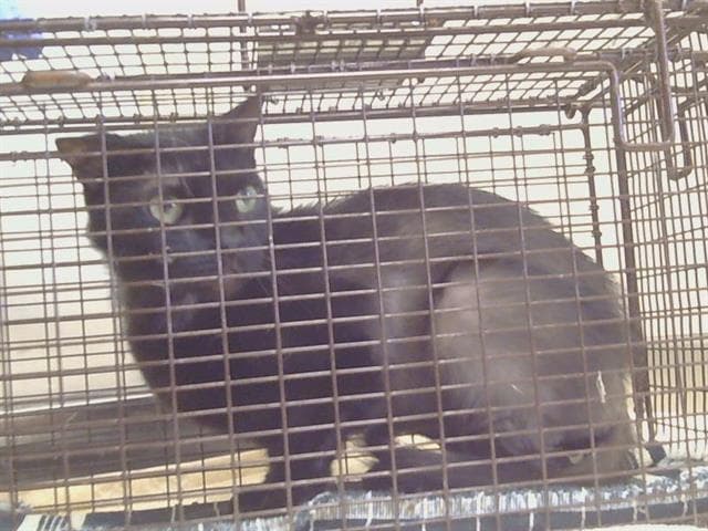 Salem