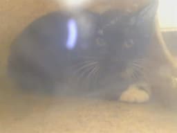 Unknown image 1