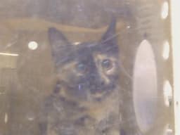 Unknown image 1