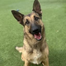 Keira image 1