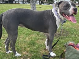 Stormi image 1
