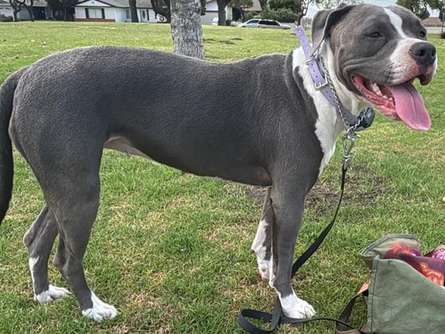 Stormi