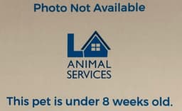 Unknown image 1