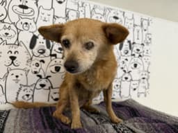 Thelma image 1