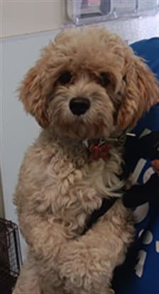 Sally image 1