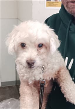 Ernie image 1