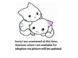 Boo image 1