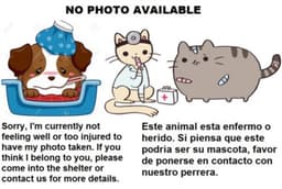 Trouble image 1