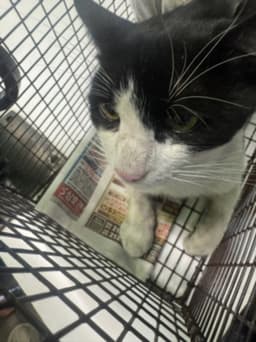 Jill image 1