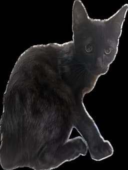 Jim image 1