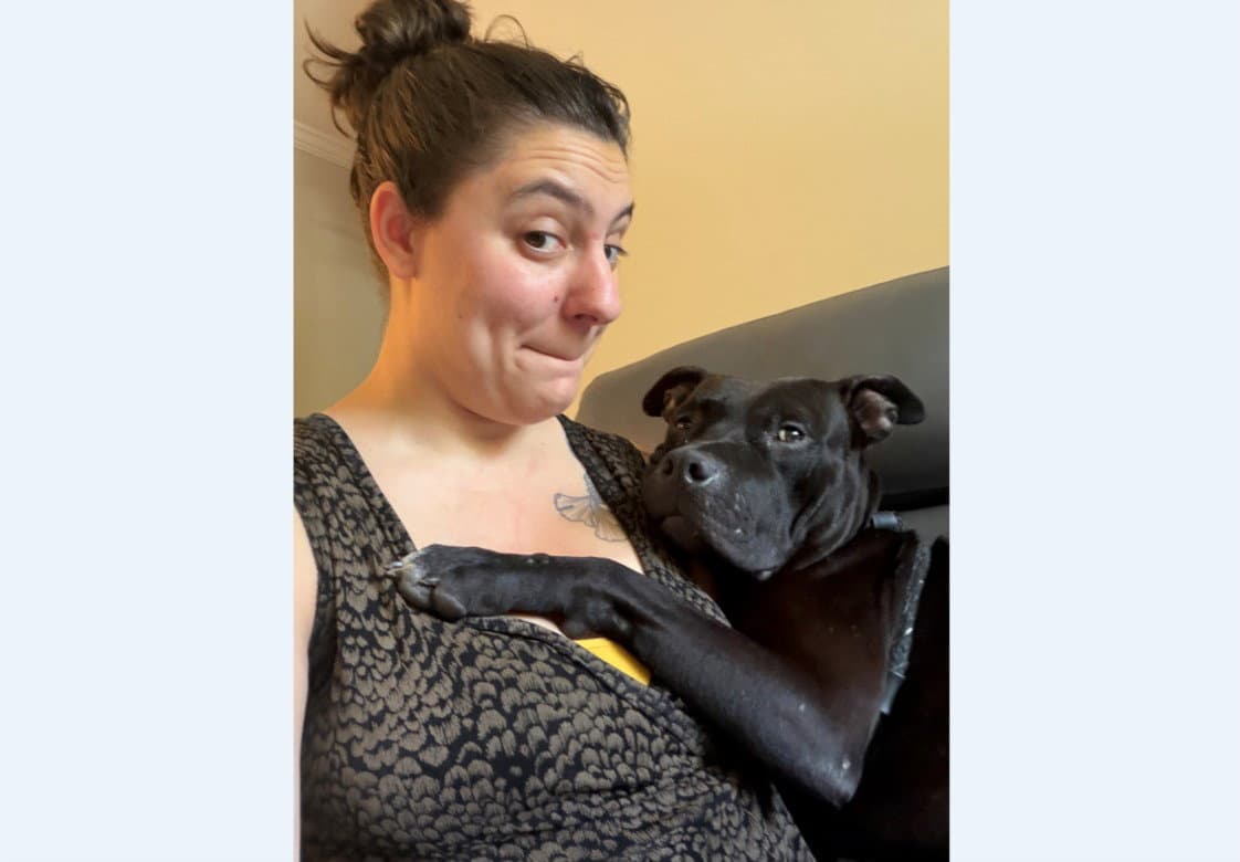 Grench - Pit Bull Terrier