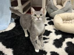 Mama Mimi image 1