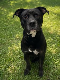 Darla image 1