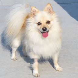 Khloe image 1