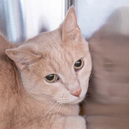 Willy image 1