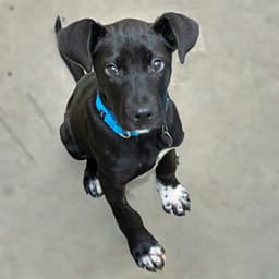 Spiderman image 1