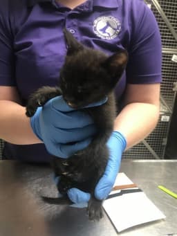 Unknown image 1