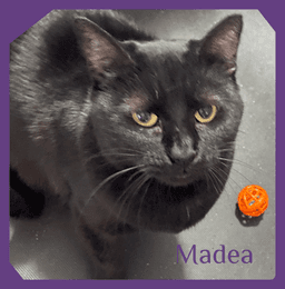 Madea image 1