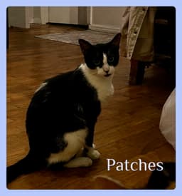 Patches image 1
