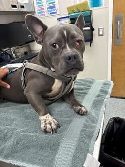 Rosco image 1
