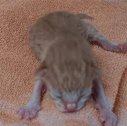 Unknown image 1