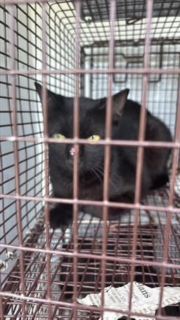 Unknown image 1
