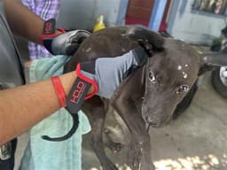 Unknown image 1