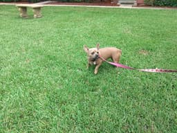 Zoey image 1