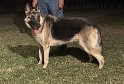Max image 3