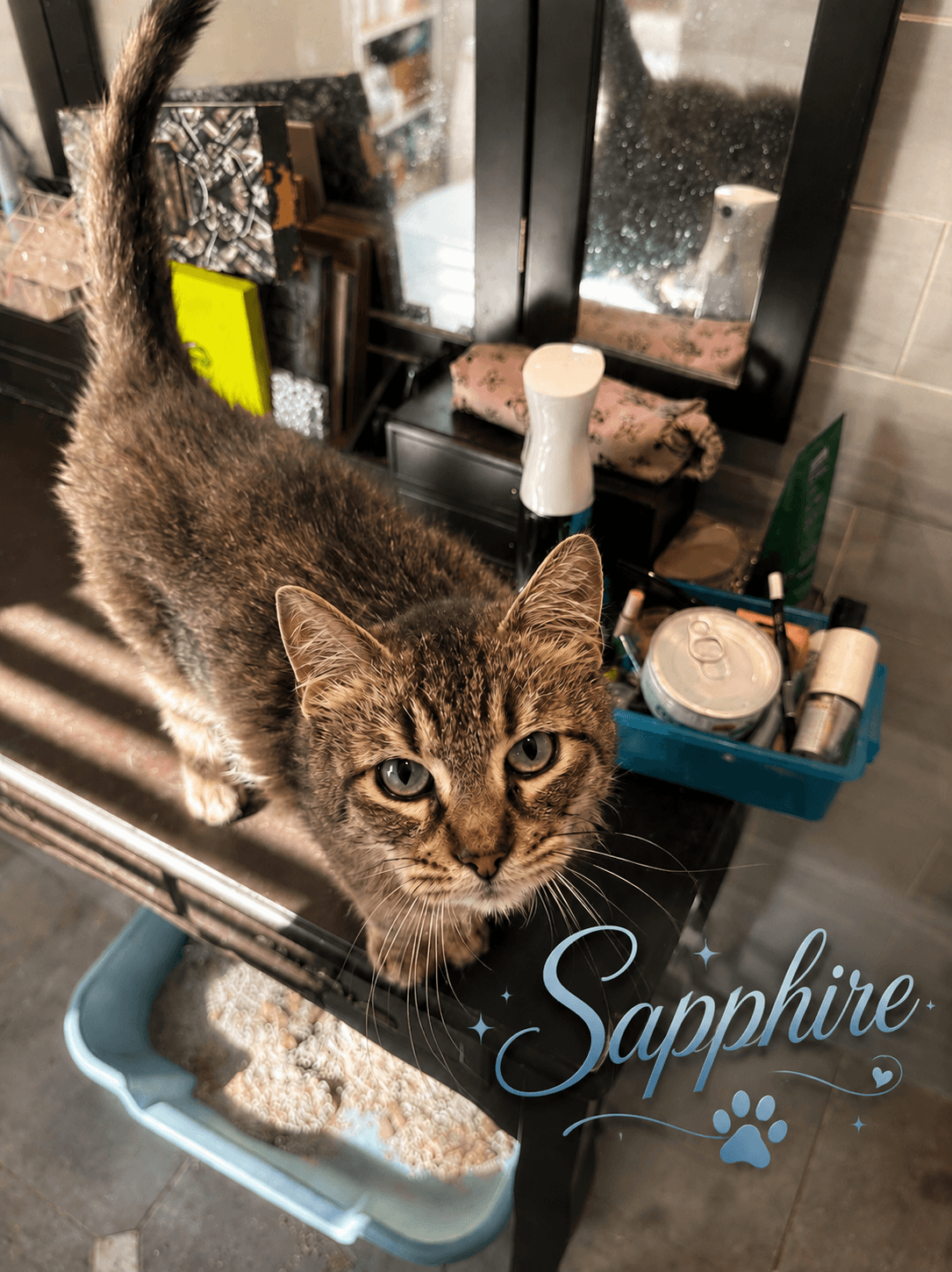 Ruby Dlh And Sapphire Fcid - - Tabby
