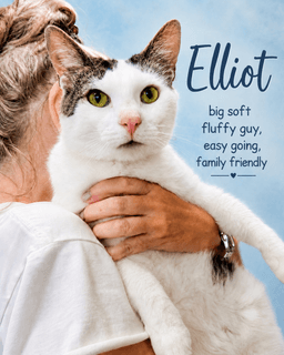 Elliot Fcid  -  Willow Grove image 1