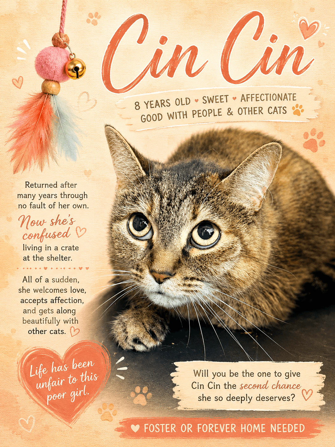 Cin Cin Fcid -  Willow Grove - Torbie