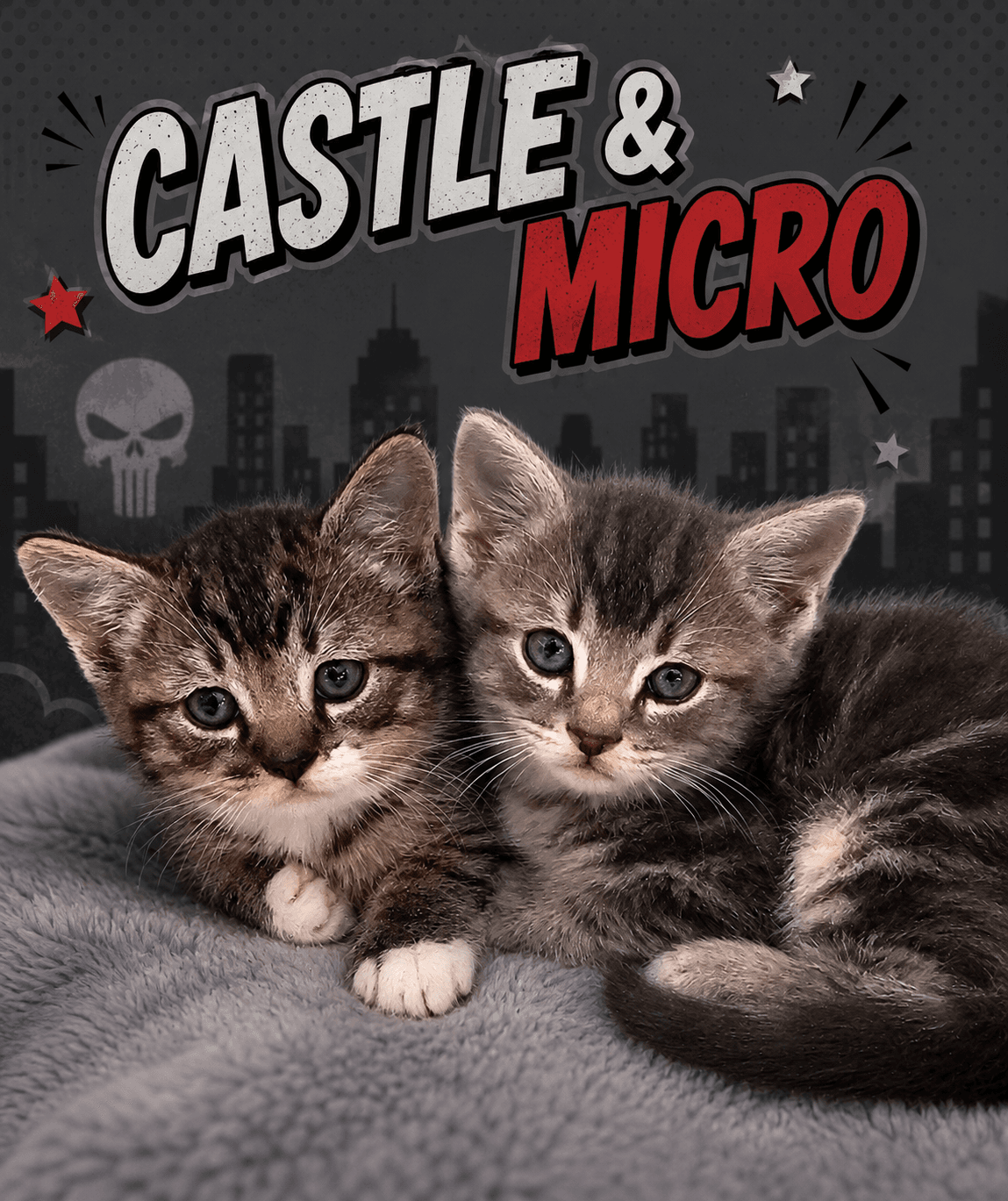 Castle  Micro Bonded Fcid - - Tabby